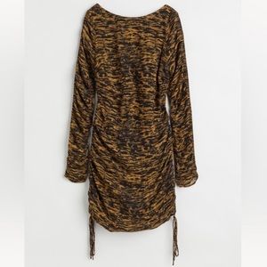 H&M Long Sleeve Tiger Print Mini Dress